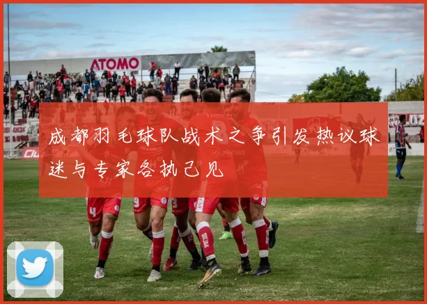 成都羽毛球队战术之争引发热议球迷与专家各执己见