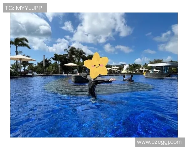 夏日畅游尽享清凉 新款游泳衣带你体验水中风尚与舒适