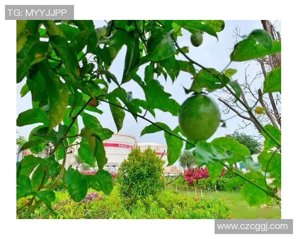 果园生态与可持续发展研究：打造绿色农业的未来之路